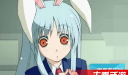 动漫磁力,探寻虚拟世界的魅力与奥秘